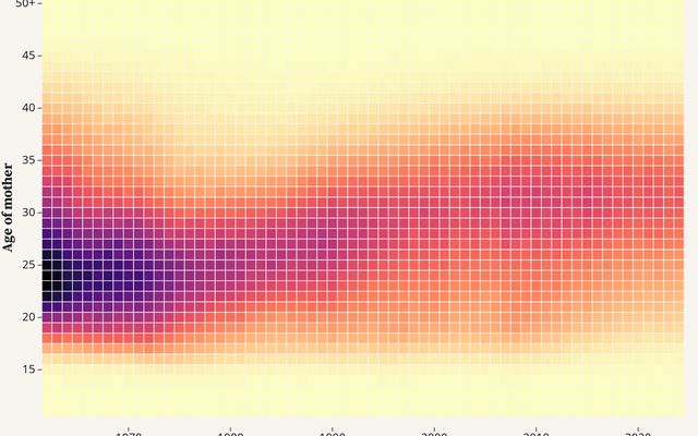 New Zealand Fertility Rates